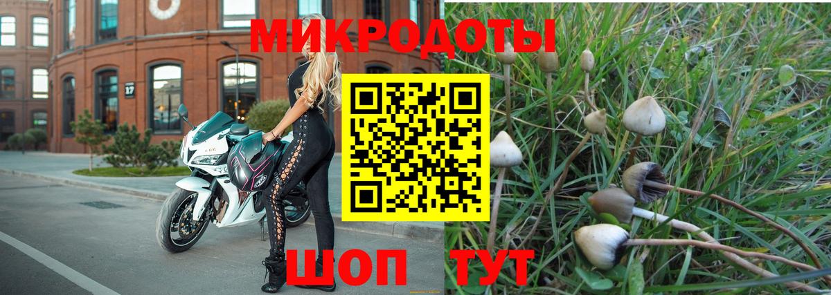 Псилоцибиновые грибы ЛСД Углич